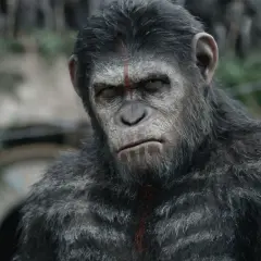 Najnowsze filmy z małpami w kinach - poznaj serię Planeta Małp