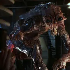 Film Mucha - kultowy horror science fiction, który zmienił oblicze kina
