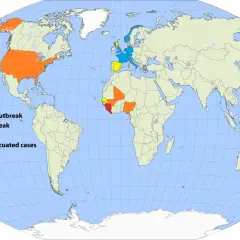 Mapa świata z zaznaczonymi ogniskami chorób: USA i Afryka Zachodnia to **the hot zone**, Europa ma pojedyncze przypadki i ewakuacje.