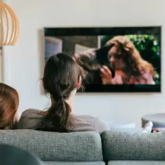 Dwie osoby oglądają film na telewizorze. Szukają sposobu, jak znaleźć film, którego tytułu nie pamiętam, opisując scenę z ekranu.