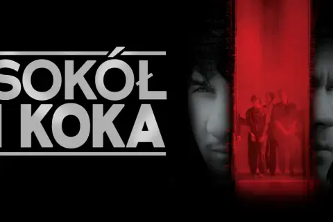 "Sokół i koka": Skąd ten cytat? Fenomen "W aucie"