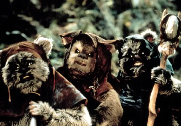 Ewoki z Gwiezdnych Wojen: Kim są futrzane misie i co kupić?