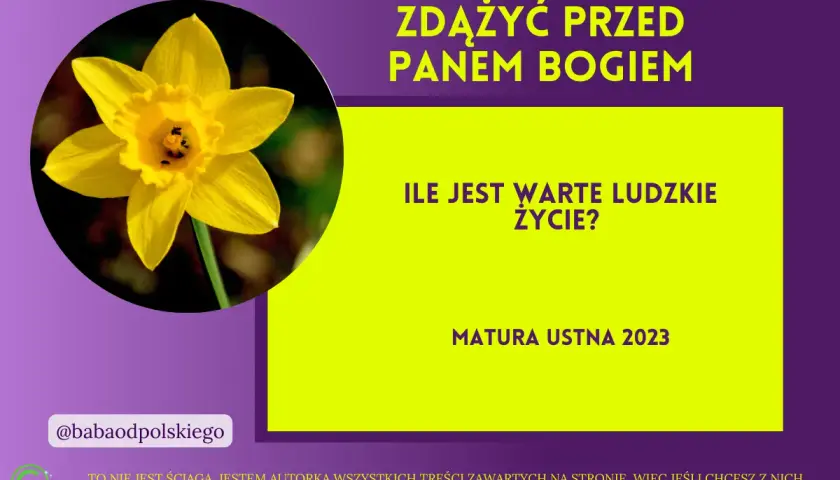 Bezcenne życie: jak wycenia je sąd, ekonomia i polisa?