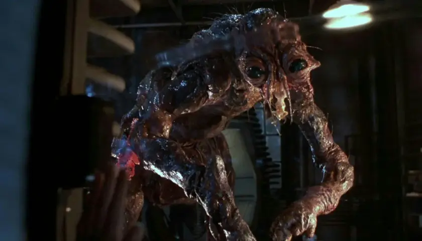 Film Mucha - kultowy horror science fiction, który zmienił oblicze kina