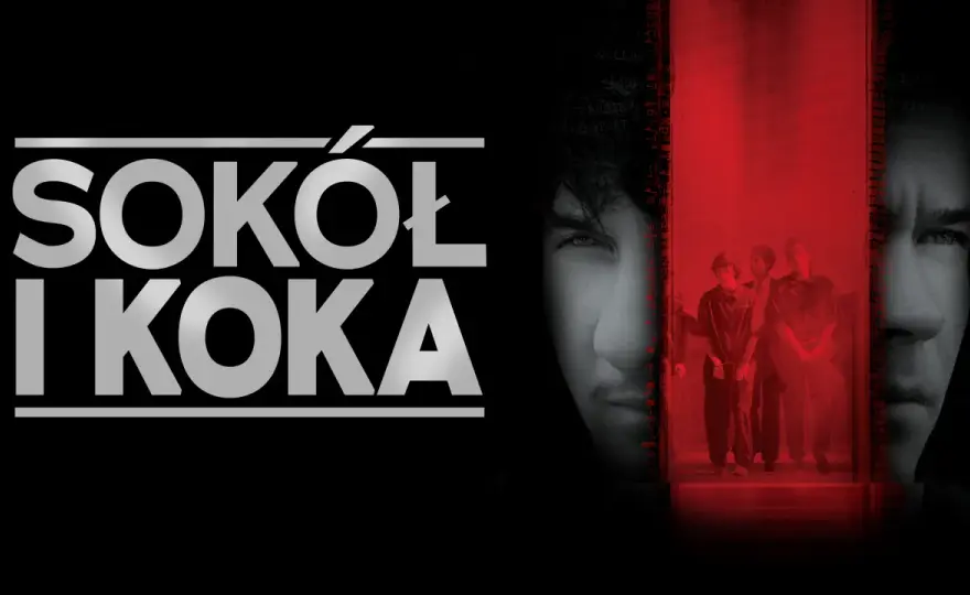"Sokół i koka": Skąd ten cytat? Fenomen "W aucie"
