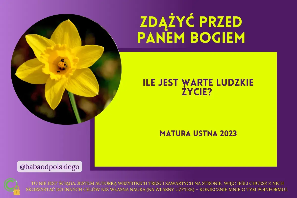 Bezcenne życie: jak wycenia je sąd, ekonomia i polisa?