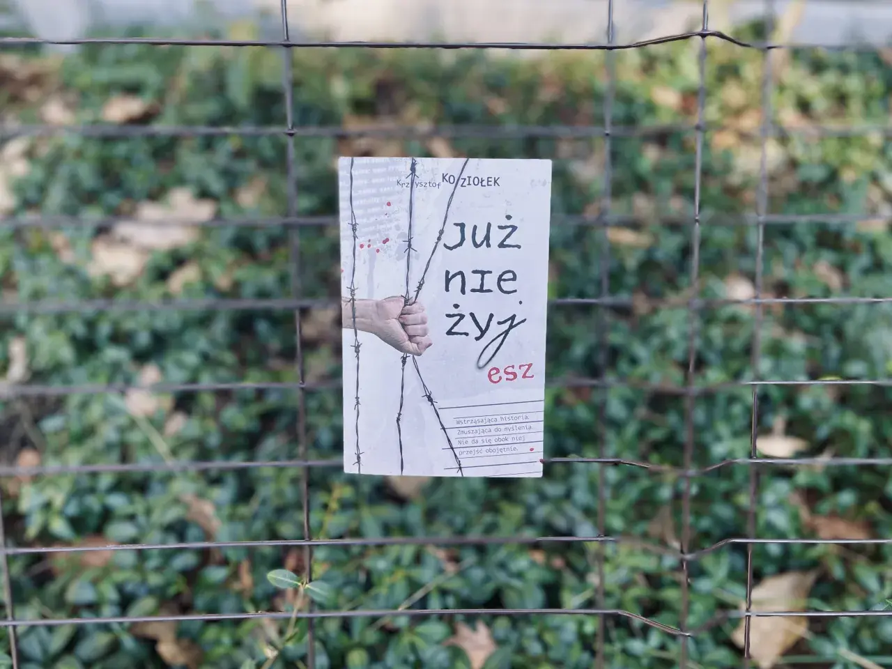 Okładka książki "Już nie żyjesz" Krzysztofa Koziołka, wisząca na płocie. Wstrząsająca historia, która skłania do myślenia, jak zasady przyjemności serial.
