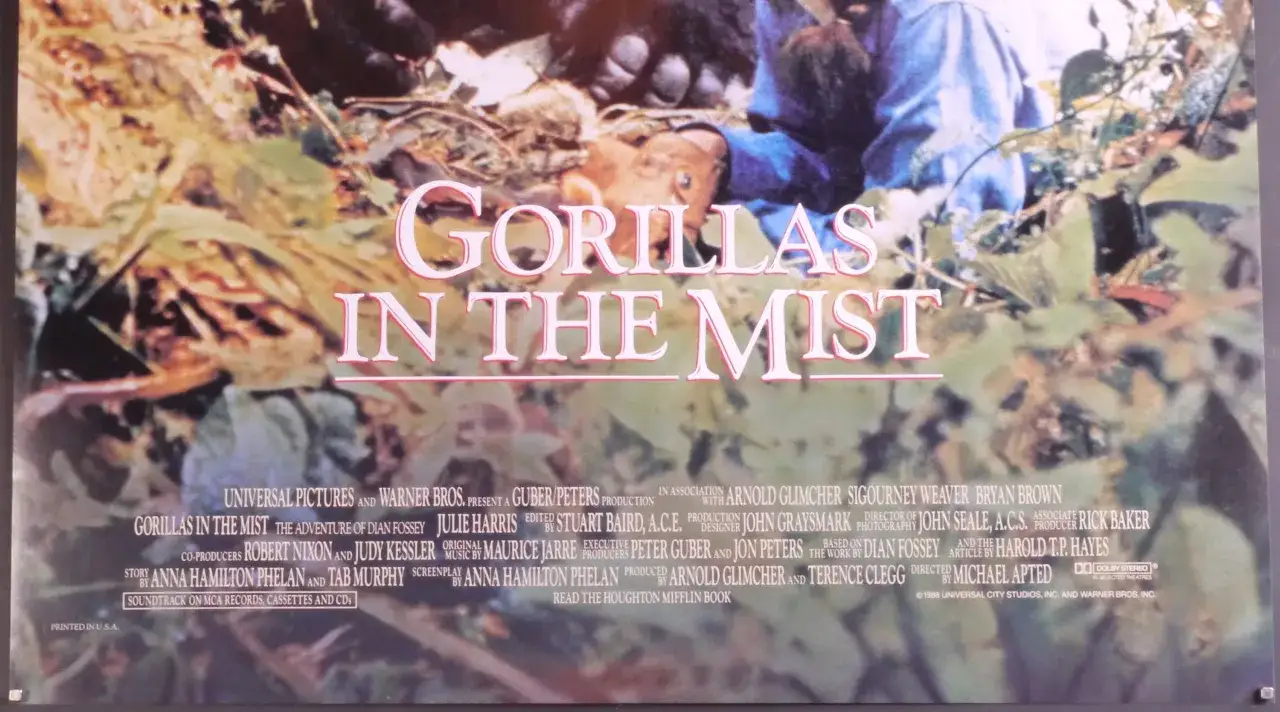 Goryle we mgle film plakat