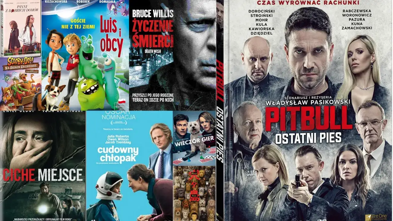 Plakaty filmów Władysława Pasikowskiego kolaż