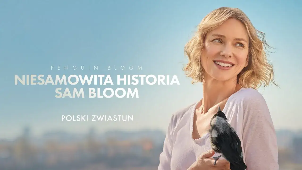 Zdjęcie Jak w niebie: poznaj dwa niesamowite filmy o tym samym tytule