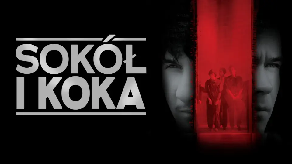 "Sokół i koka": Skąd ten cytat? Fenomen "W aucie"